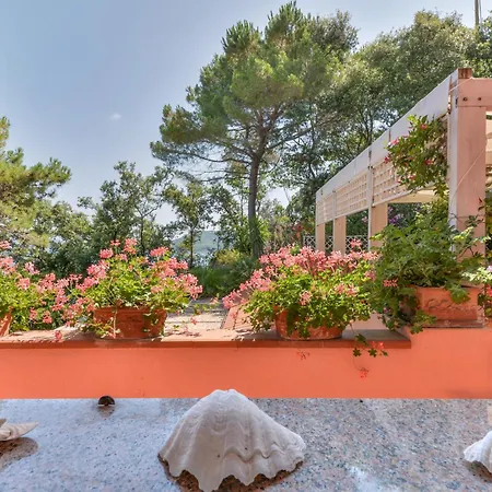 Apartment Casa La Paolina